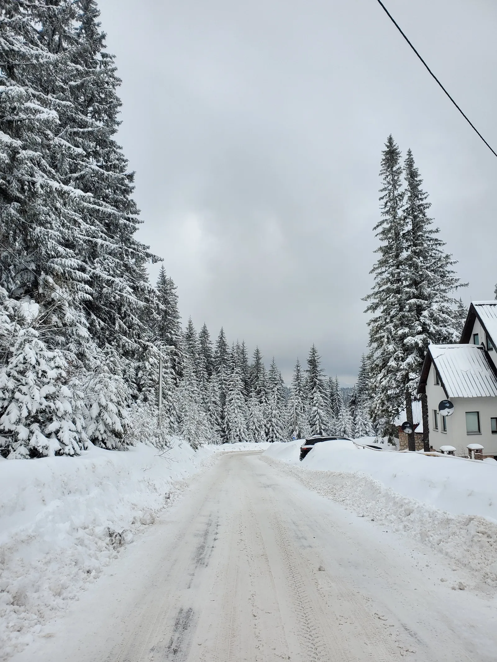 Jahorina Snow Landscape