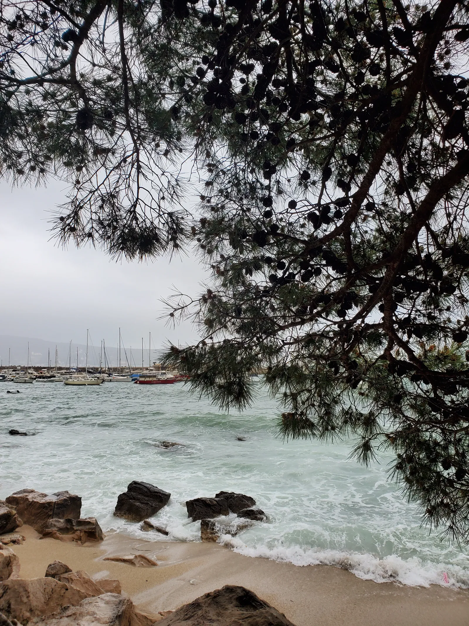 Herceg Novi, Montenegro The Sea Landscape
