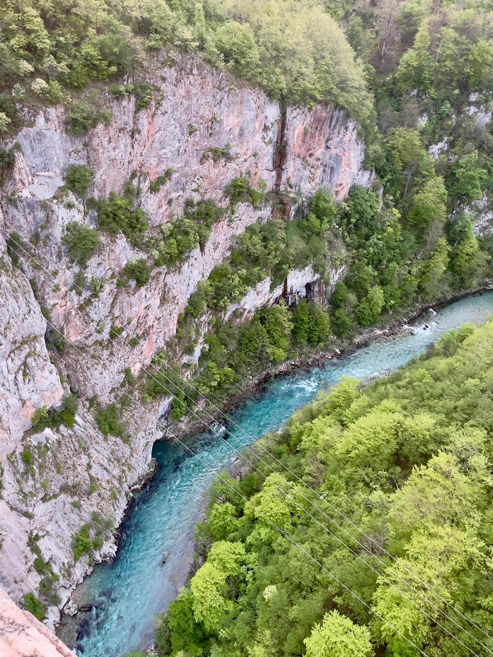 Tara River, Montenegro